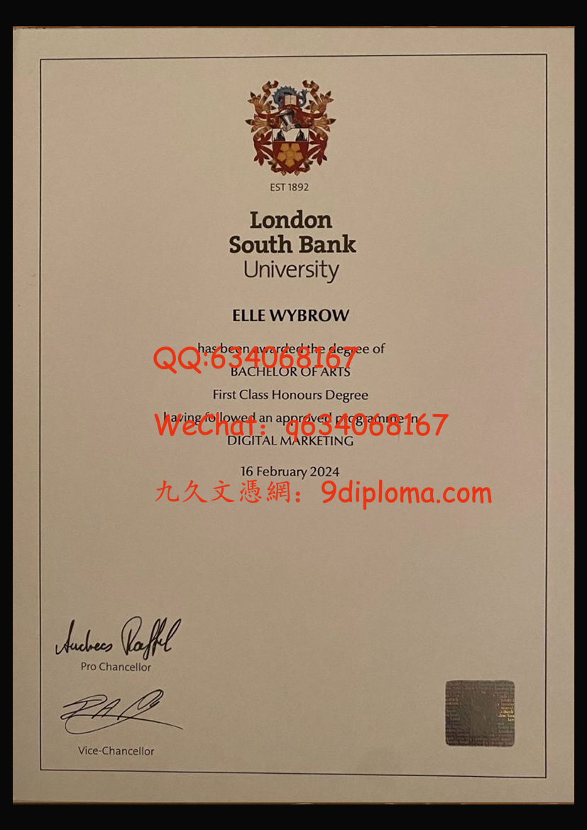 南岸大学毕业证样板