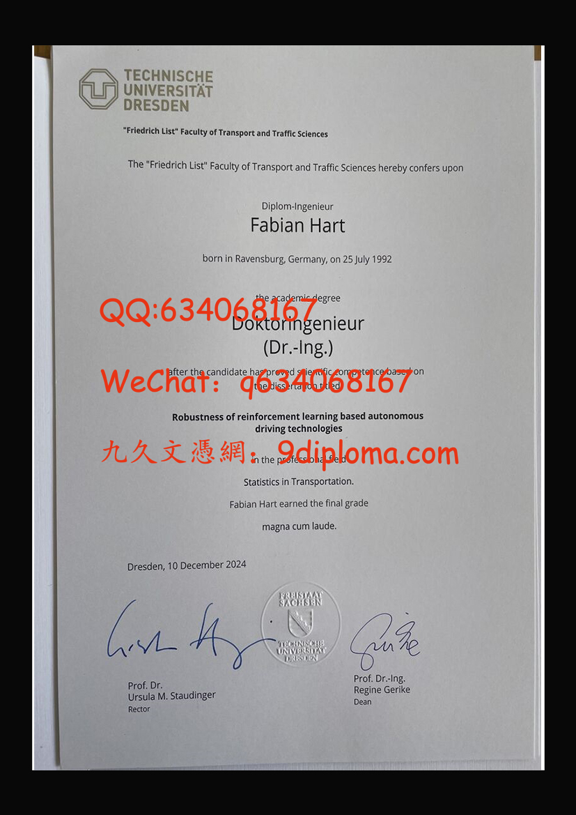 德累斯顿工业大学毕业证样板