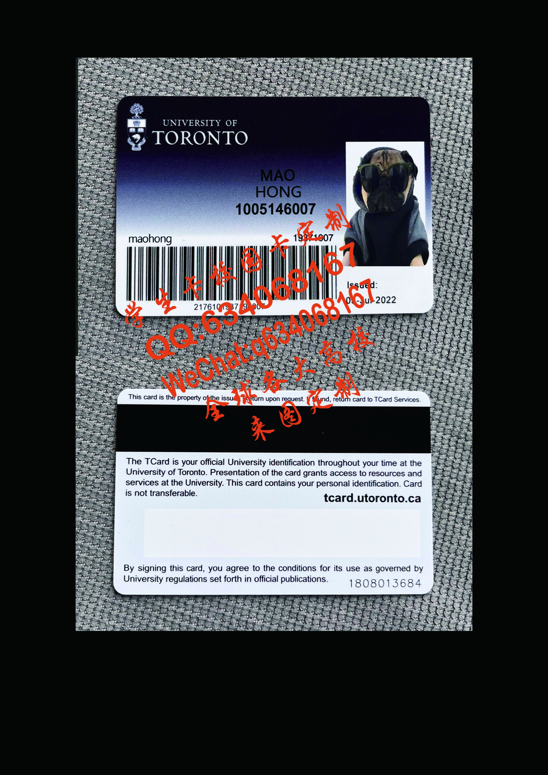 加拿大多伦多大学学生卡定制
