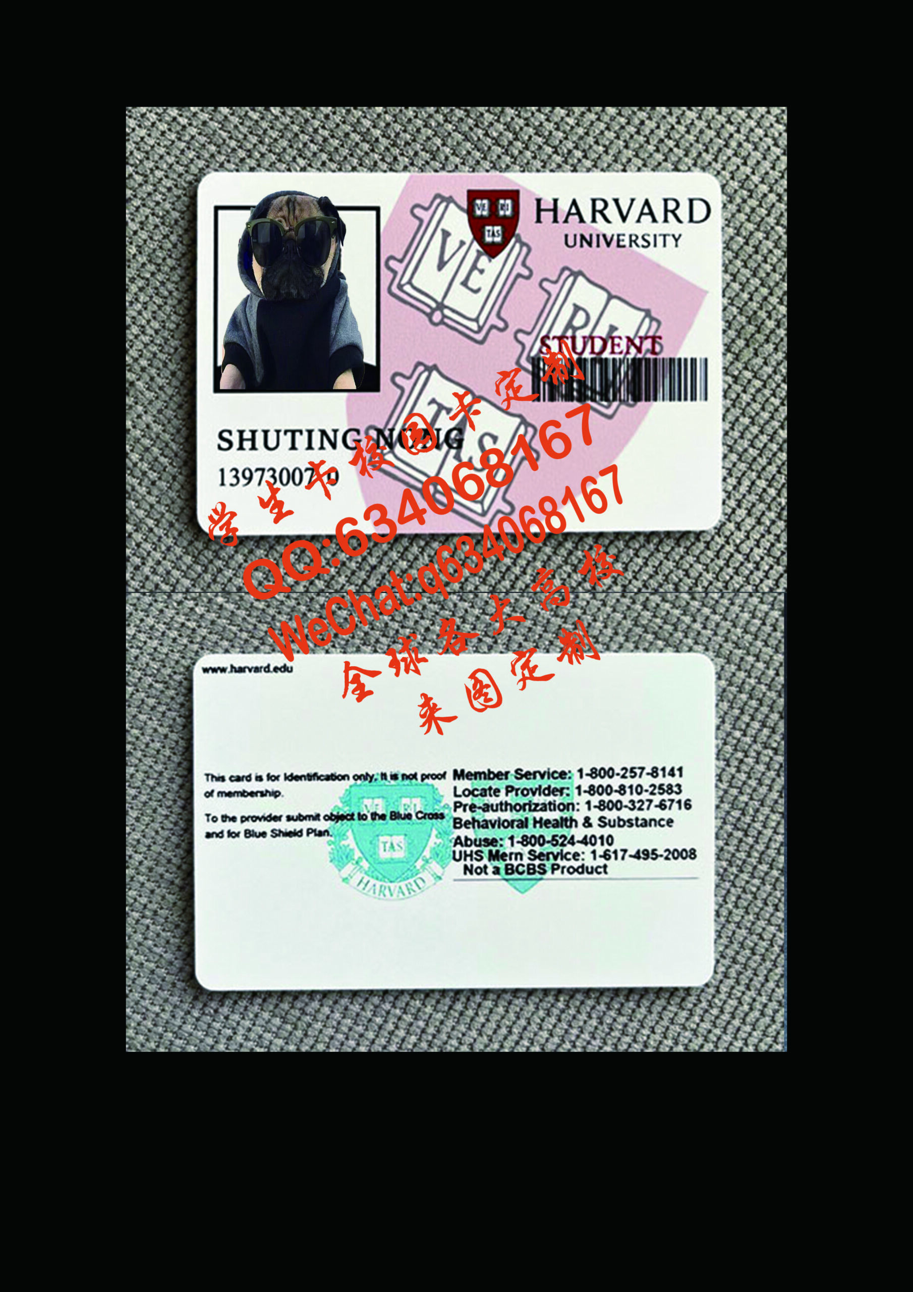 哈佛大学学生证定制
