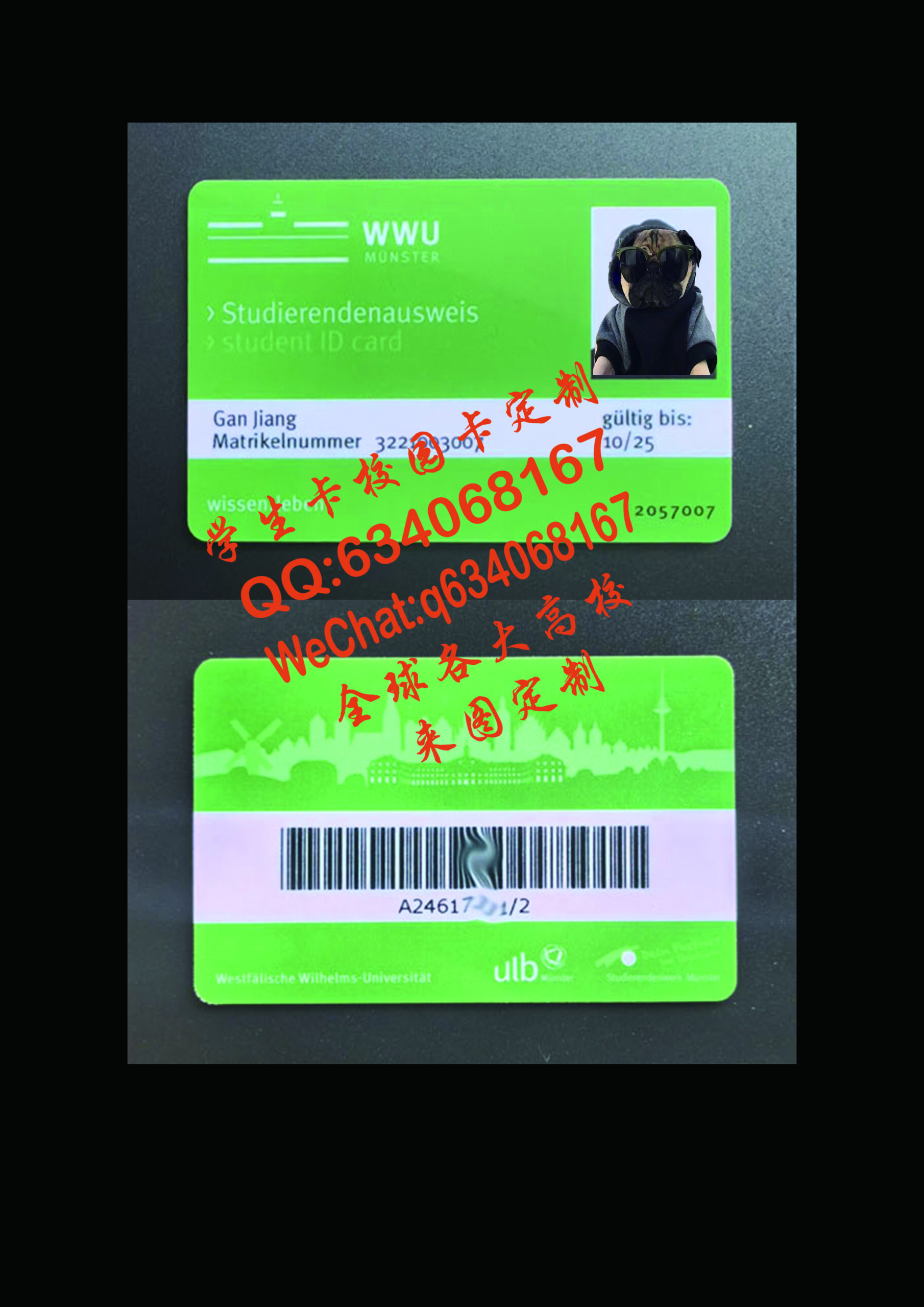 德国明斯特大学学生卡定制