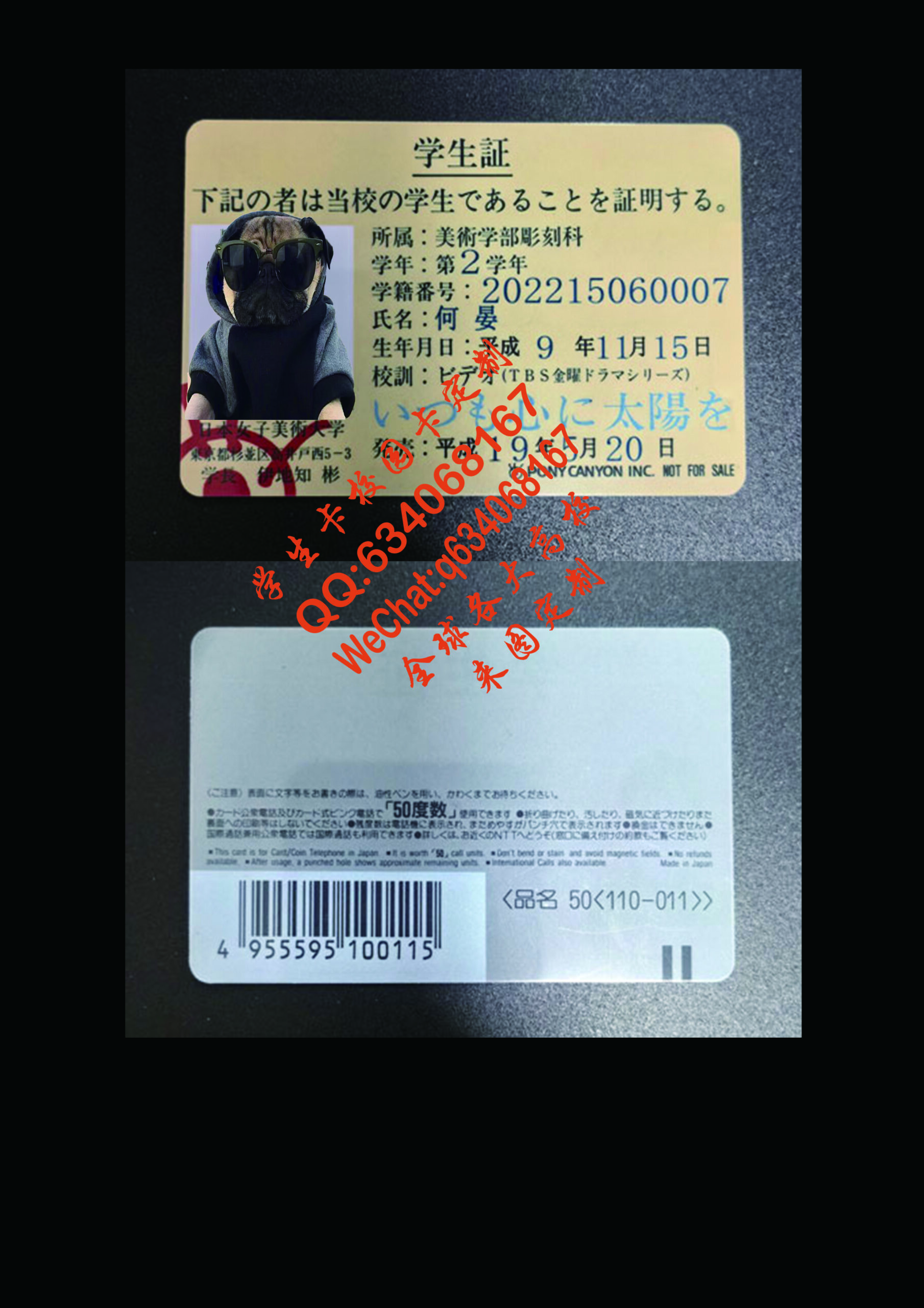 日本女子美術大学学生卡定制