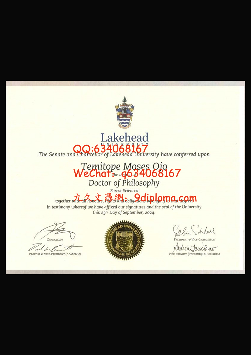 湖首大学毕业证样本