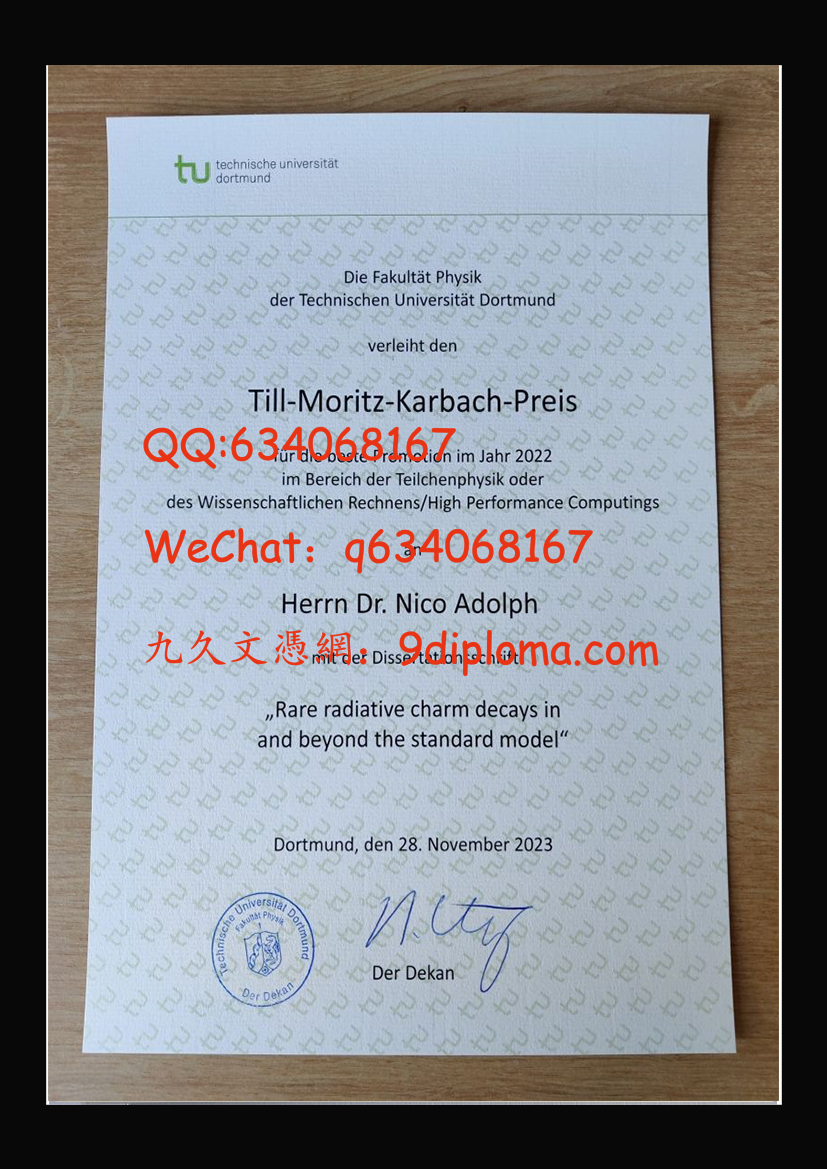 多特蒙德工业大学毕业证样本