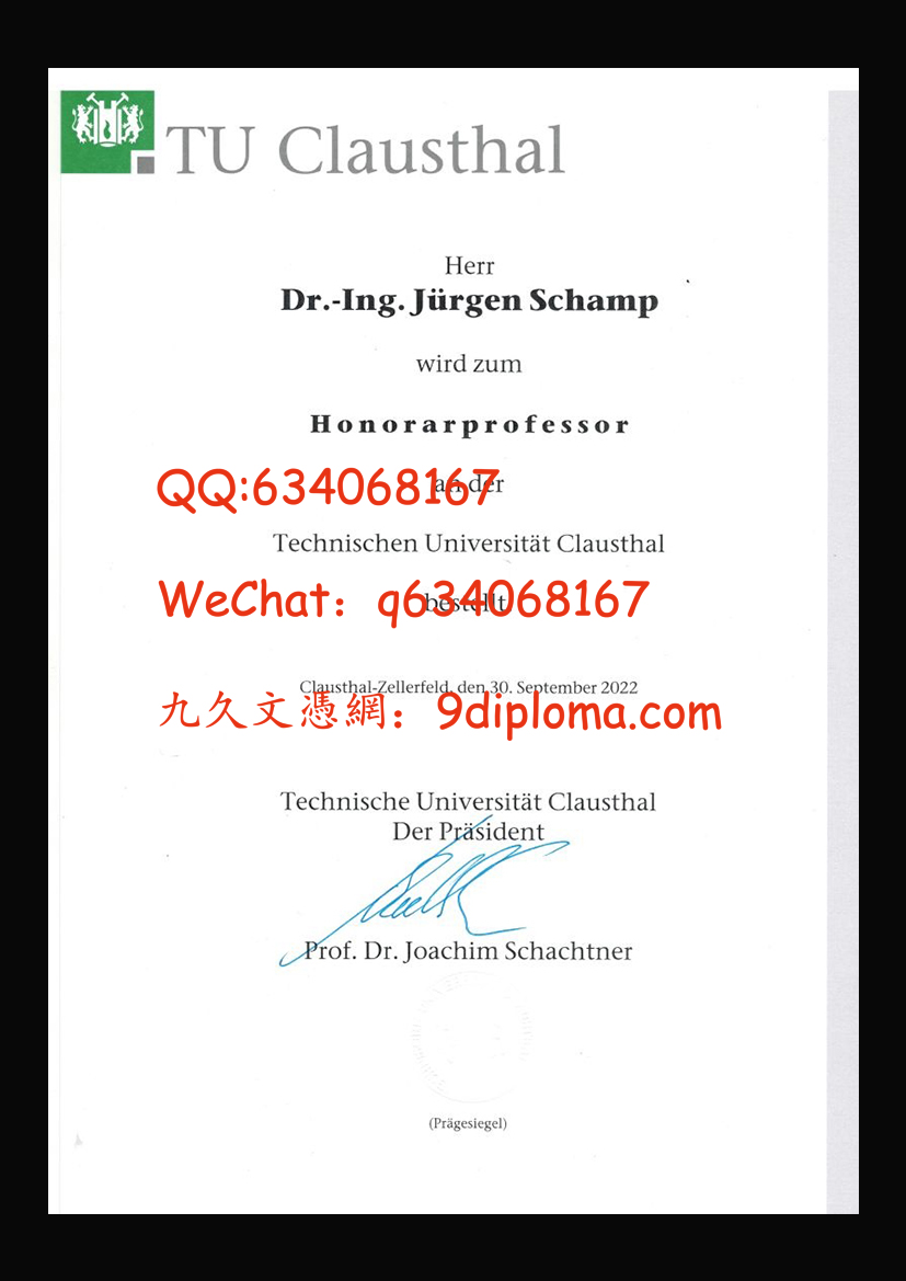 克劳斯塔尔工业大学毕业证样本