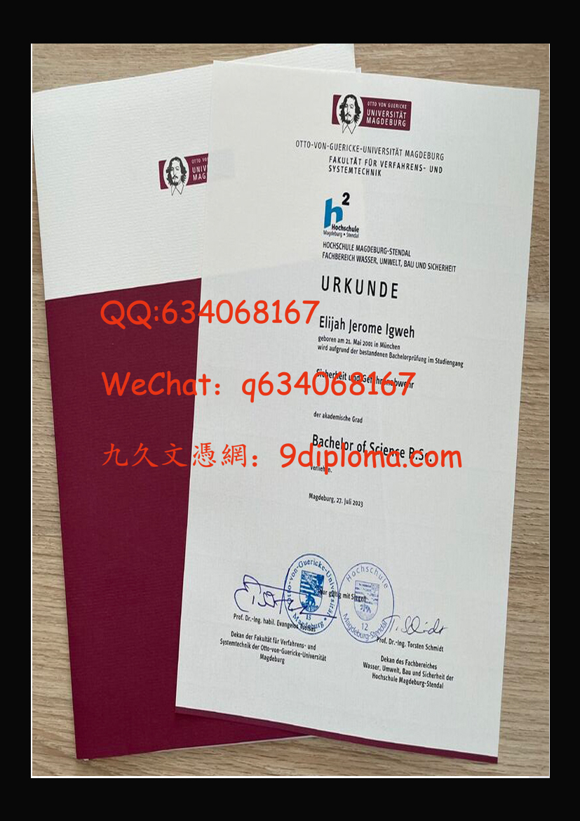 马格德堡大学毕业证样本