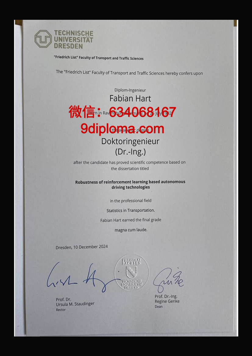 德累斯顿工业大学毕业证样本