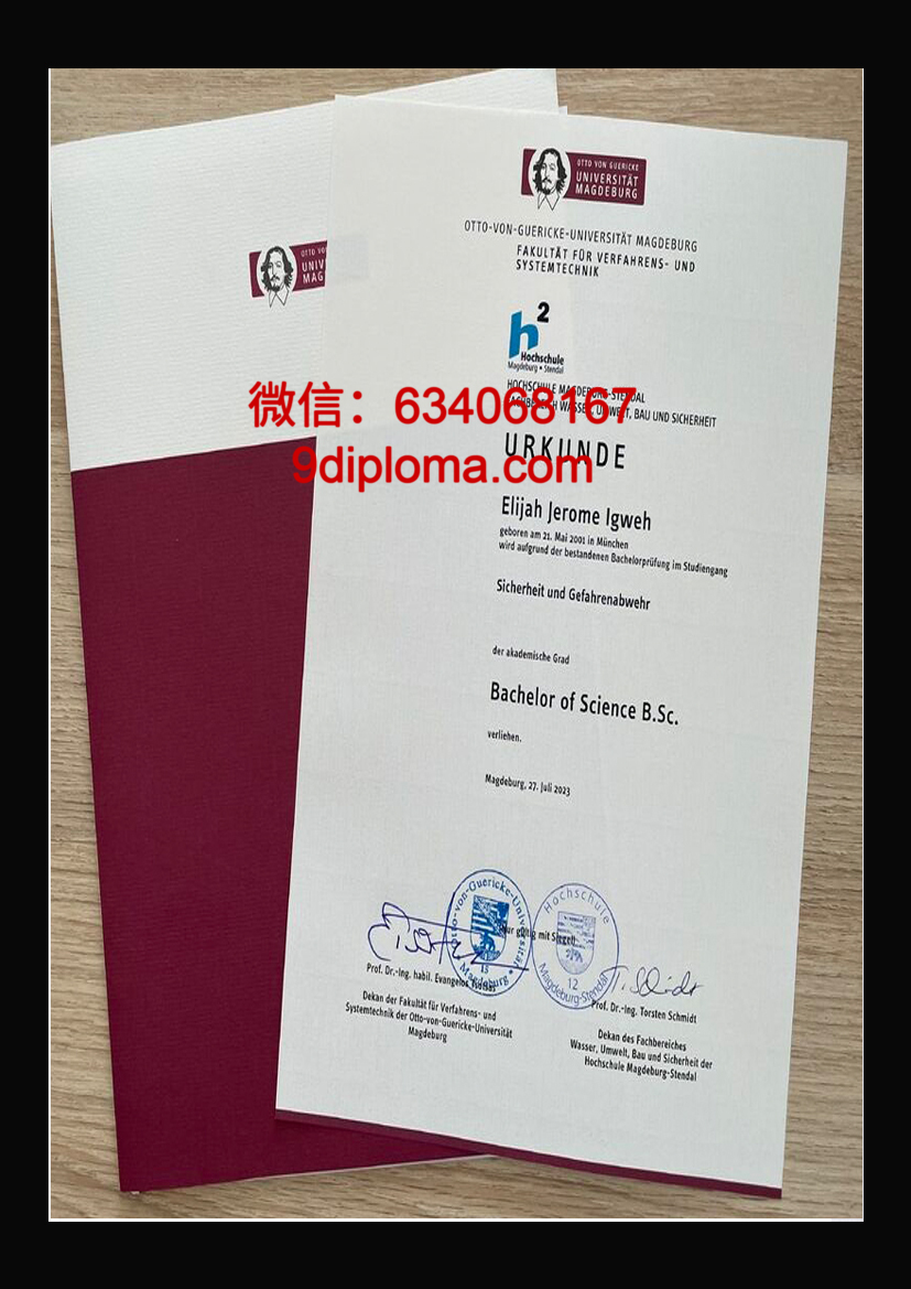 马格德堡大学毕业证书样本