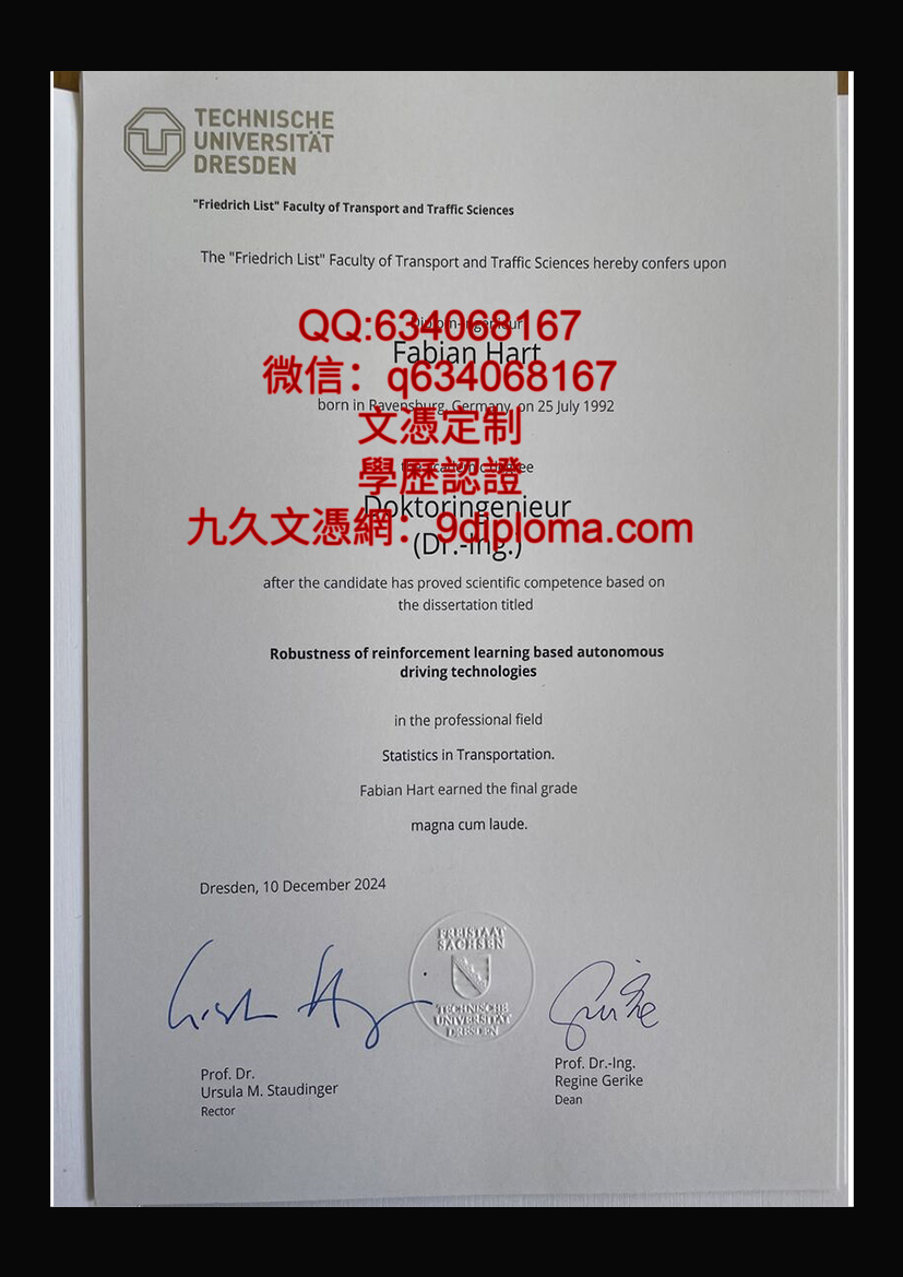 德累斯顿工业大学毕业证样本